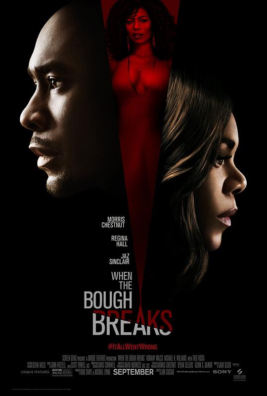 当树枝折断时 When the Bough Breaks (2016)