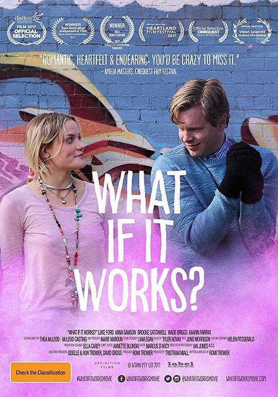 倘若有爱 What If It Works? (2017)