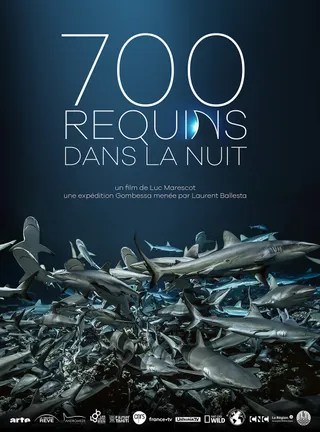 鲨鱼探秘 700 requins dans la nuit (2019)