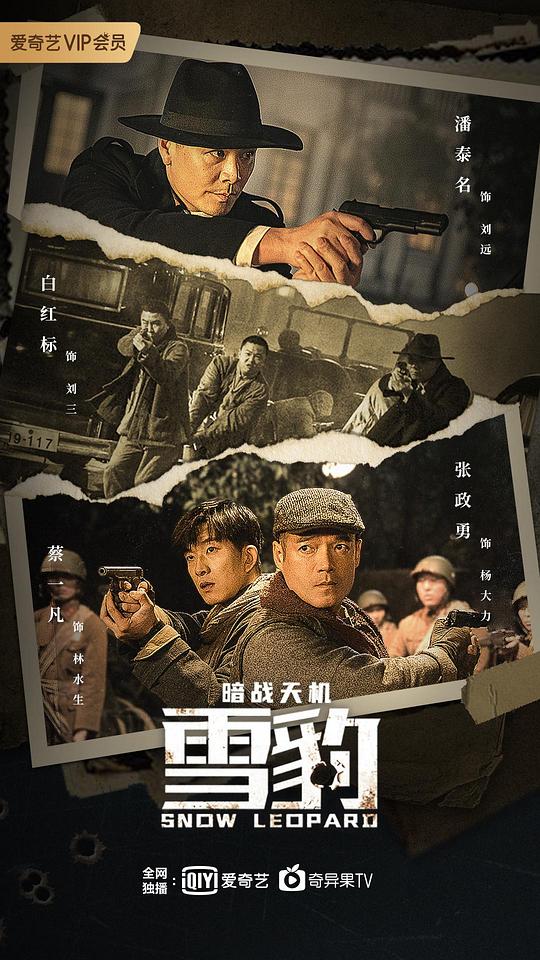 雪豹之暗战天机 (2021)