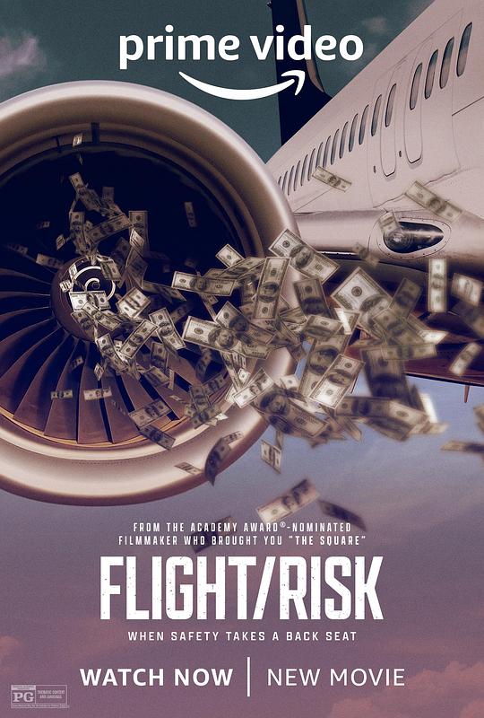 生死航班 Flight/Risk (2022)