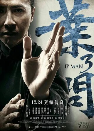 叶问3 (2015)