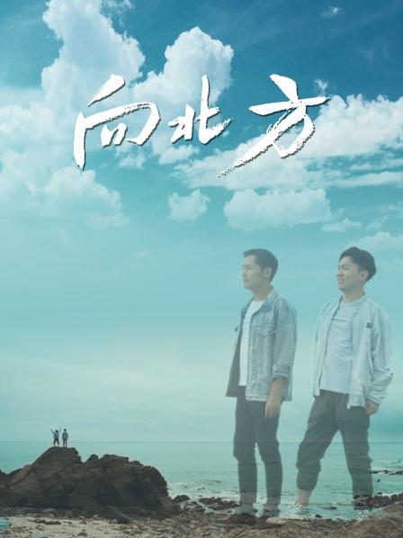 向北方 (2022)