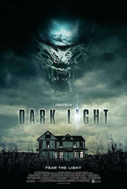 暗夜凶光 Dark Light (2019)