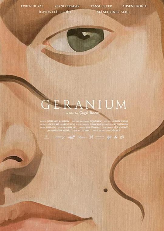 天竺葵 Sardunya (2021)