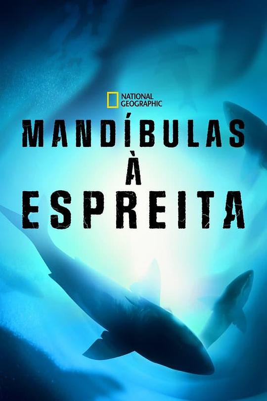 数数大白鲨 Counting Jaws (2022)