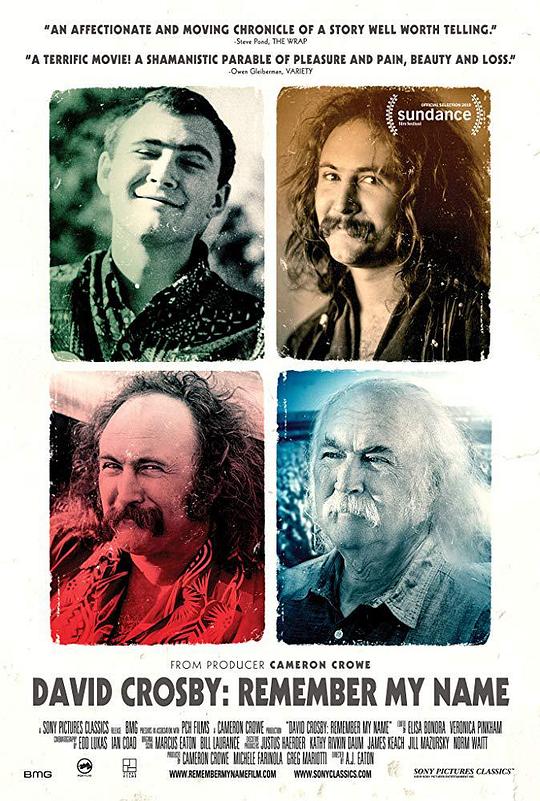 大卫·克罗斯比：请以我的名字记住我 David Crosby: Remember My Name (2019)