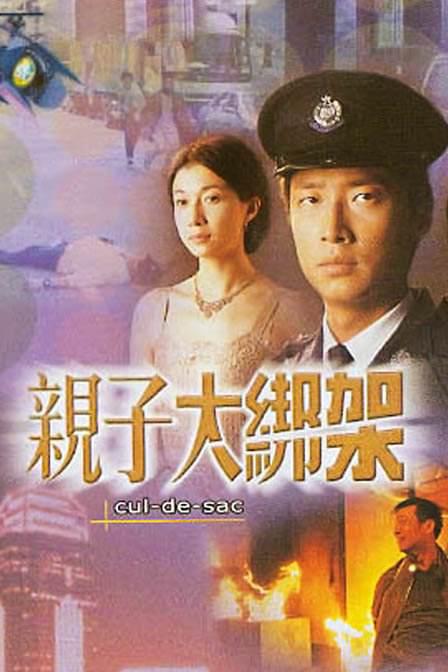 亲子大绑架 (2003)