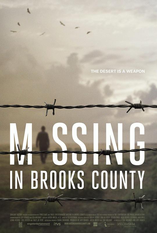 布鲁克斯县失踪案 Missing in Brooks County (2020)