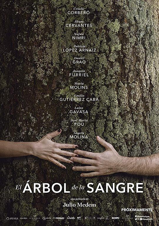 血脉之树 El Árbol de la Sangre (2018)