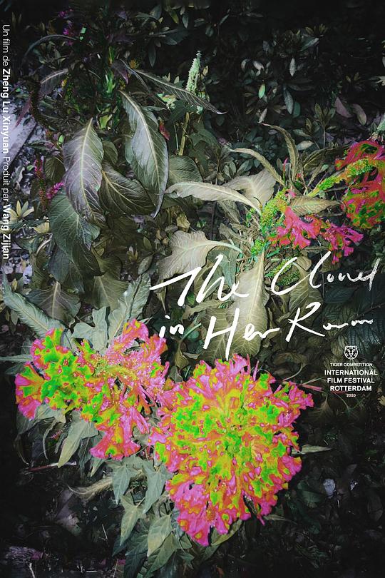 她房间里的云 (2020)