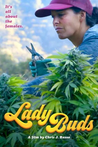 蓓蕾小姐 Lady Buds (2021)