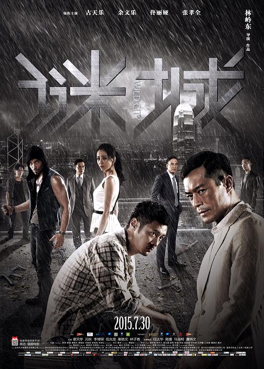 谜城 (2015)