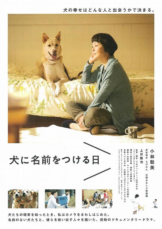 为你取名的那一天 犬に名前をつける日 (2015)