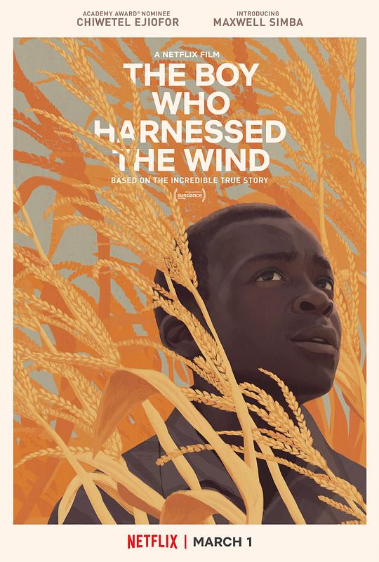 驭风男孩 The Boy Who Harnessed the Wind (2019)