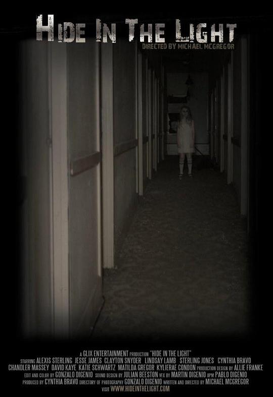 躲在灯光下 Hide in the Light (2016)