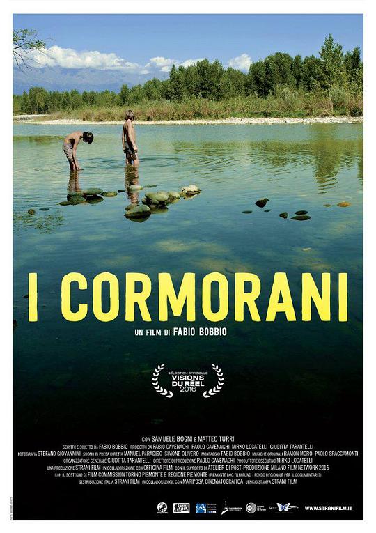 鸬鹚 I Cormorani (2016)
