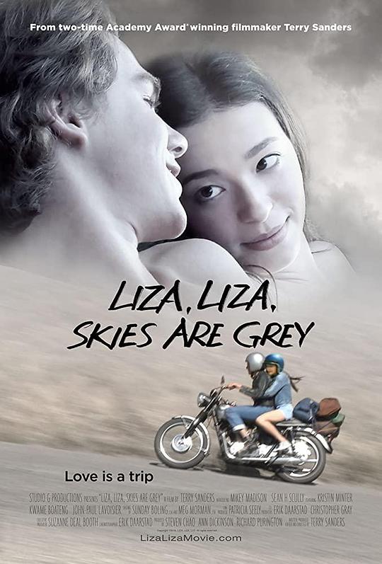 莉莎啊莉莎，天空是灰色的 Liza, Liza, Skies Are Grey (2015)