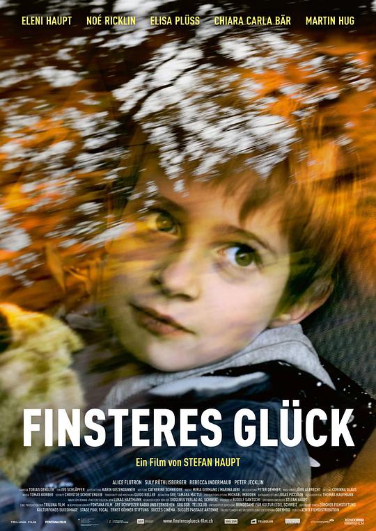 险恶的运气 Finsteres Glück (2016)