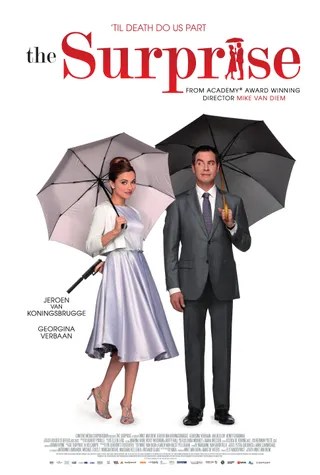 意外制造公司 De Surprise (2015)