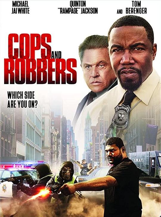 警匪游戏 Cops and Robbers (2017)