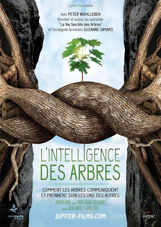 树的智慧 L'Intelligence des arbres (2017)