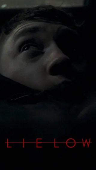 潜伏 Lie Low (2019)