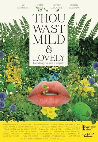 你的温和与可爱 Thou Wast Mild and Lovely (2014)