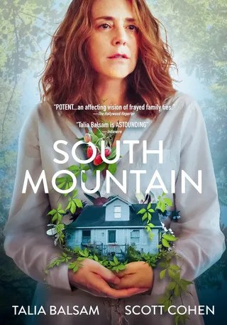 妻子意外的发现 South Mountain (2019)