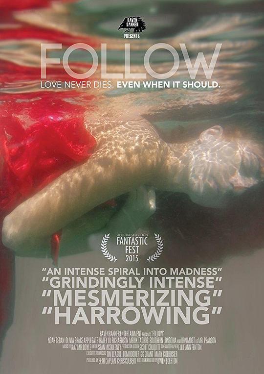 循迹线索 Follow (2015)