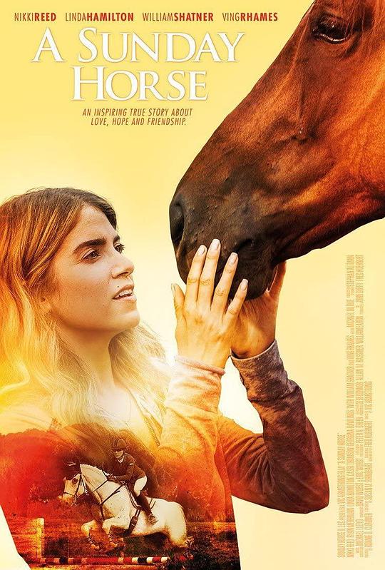 冠军赛马 The Sunday Horse (2016)