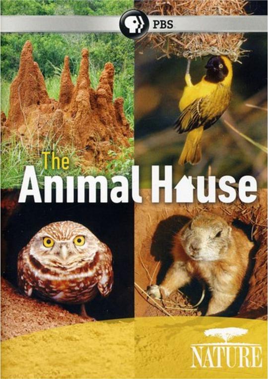 自然世界：动物之家 The Natural World: Animal House (2011)