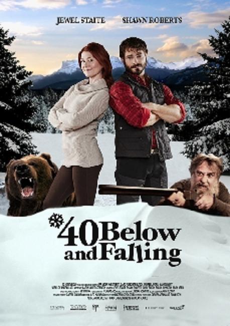 雪地真爱密码（台湾） 40 Below and Falling (2015)