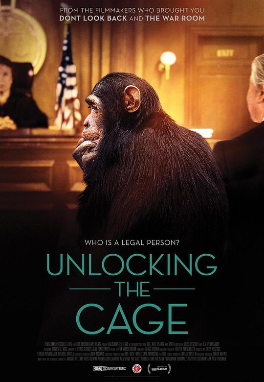 打开笼子 Unlocking the Cage (2016)