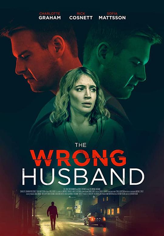 错误的丈夫 The Wrong Husband (2019)