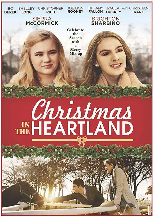 圣诞变形记 Christmas in the Heartland (2018)