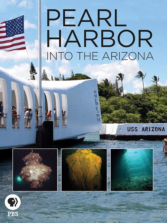 珍珠港：亚利桑那号探秘 Pearl Harbor: Into the Arizona (2016)