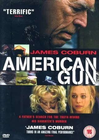 美国枪声 American Gun (2003)