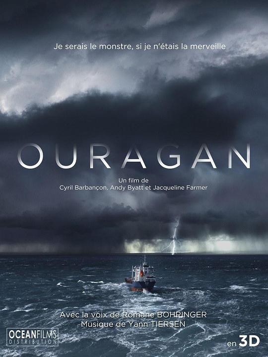 飓风之旅 Ouragan, l'odyssée d'un vent (2016)