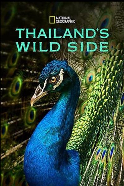 狂野泰国 Thailand's Wild Side (2020)