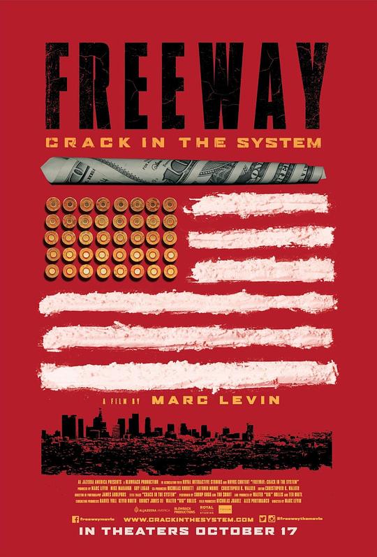 快克之王高速：体制漏洞 Freeway: Crack in the System (2015)