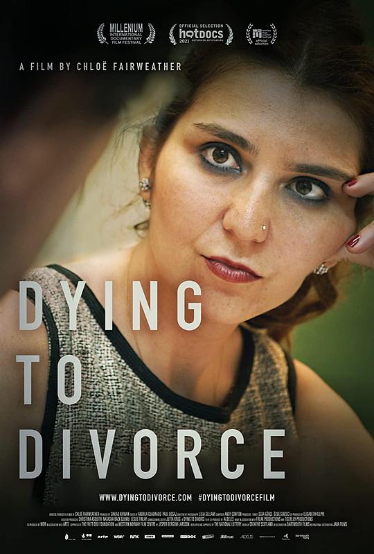 我要离婚 Dying to Divorce (2021)