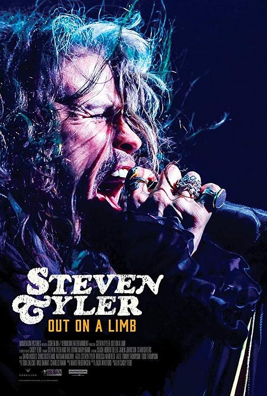 史蒂文·泰勒：冒险 Steven Tyler: Out on a Limb (2018)