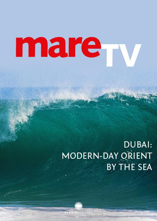 海平线上的迪拜 (2017)