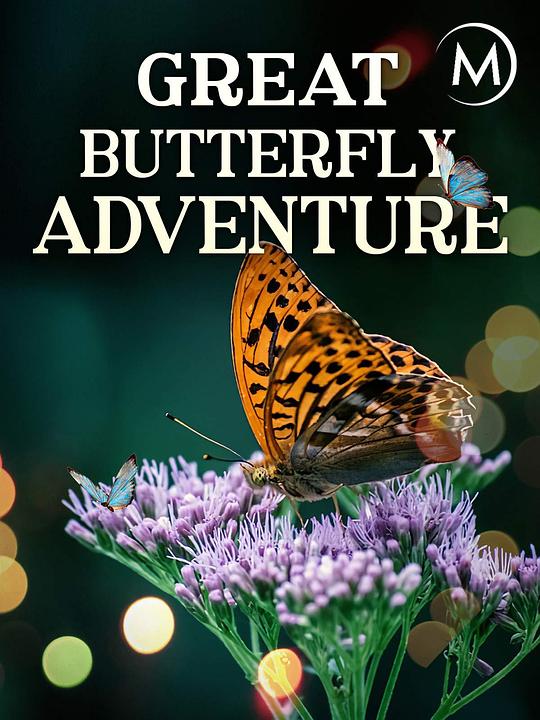 蝴蝶大冒险 The Great Butterfly Adventure: Africa to Britain with the Painted Lady (2016)