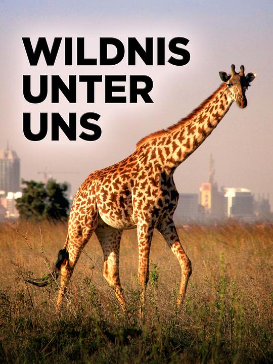 城中野兽 Beasts in the City (2020)