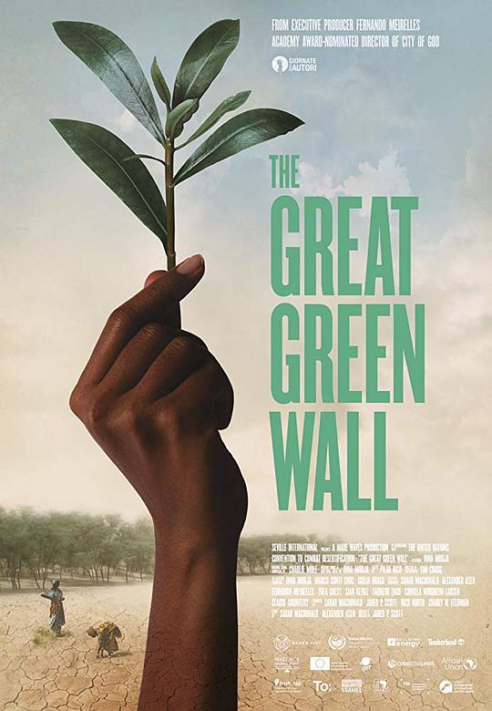 绿色长城 The Great Green Wall (2019)