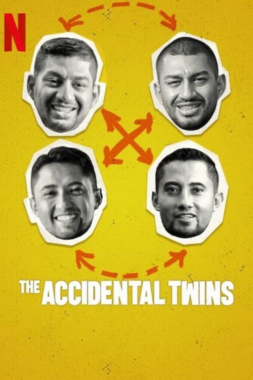 双胞胎乌龙：翻倍的兄弟情 The Accidental Twins (2024)
