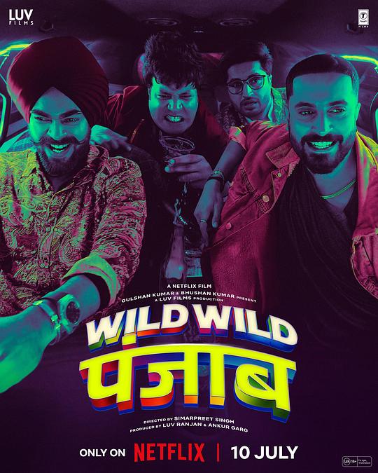 狂野分手团 Wild Wild Punjab (2024)