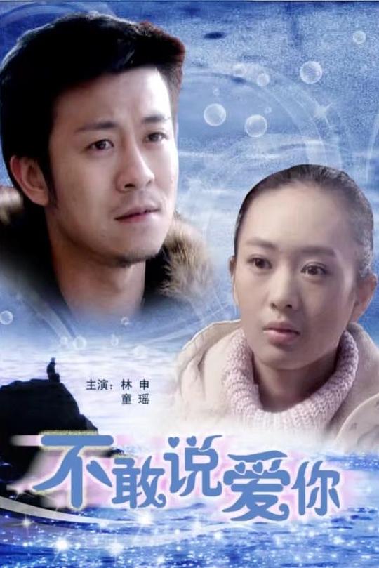 不敢说爱你 (2008)